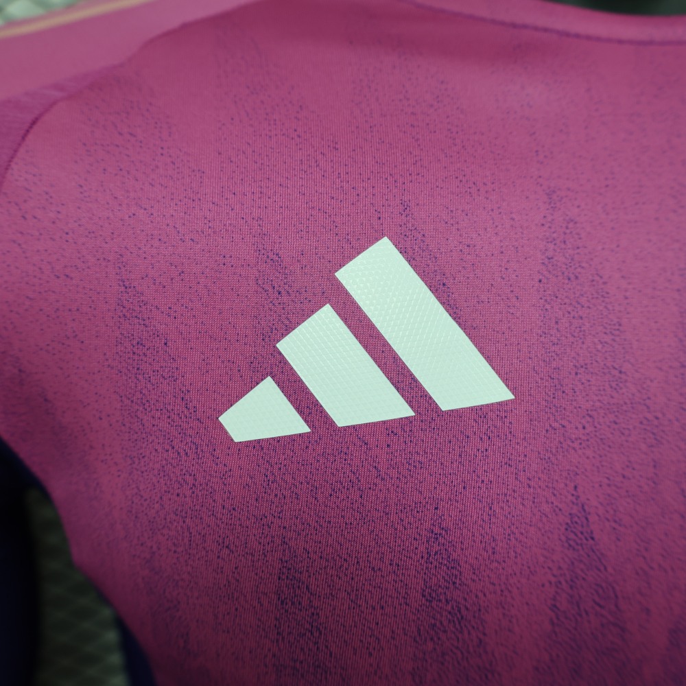 (S-3XL) 1:1 Copy Top Quality 2025/2026 Players: Germany's away long-sleeves