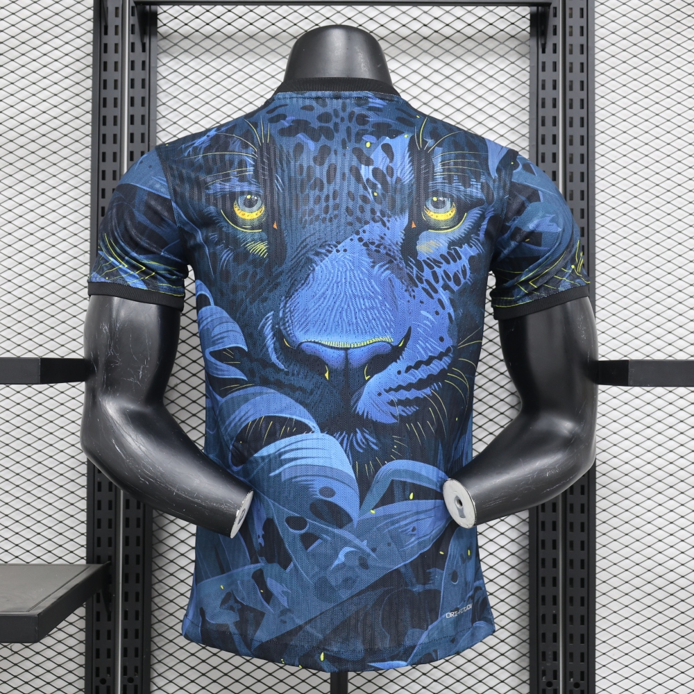 (S-3XL) 1:1 Copy Top Quality 2025/2026 Player: Brazil Special Edition