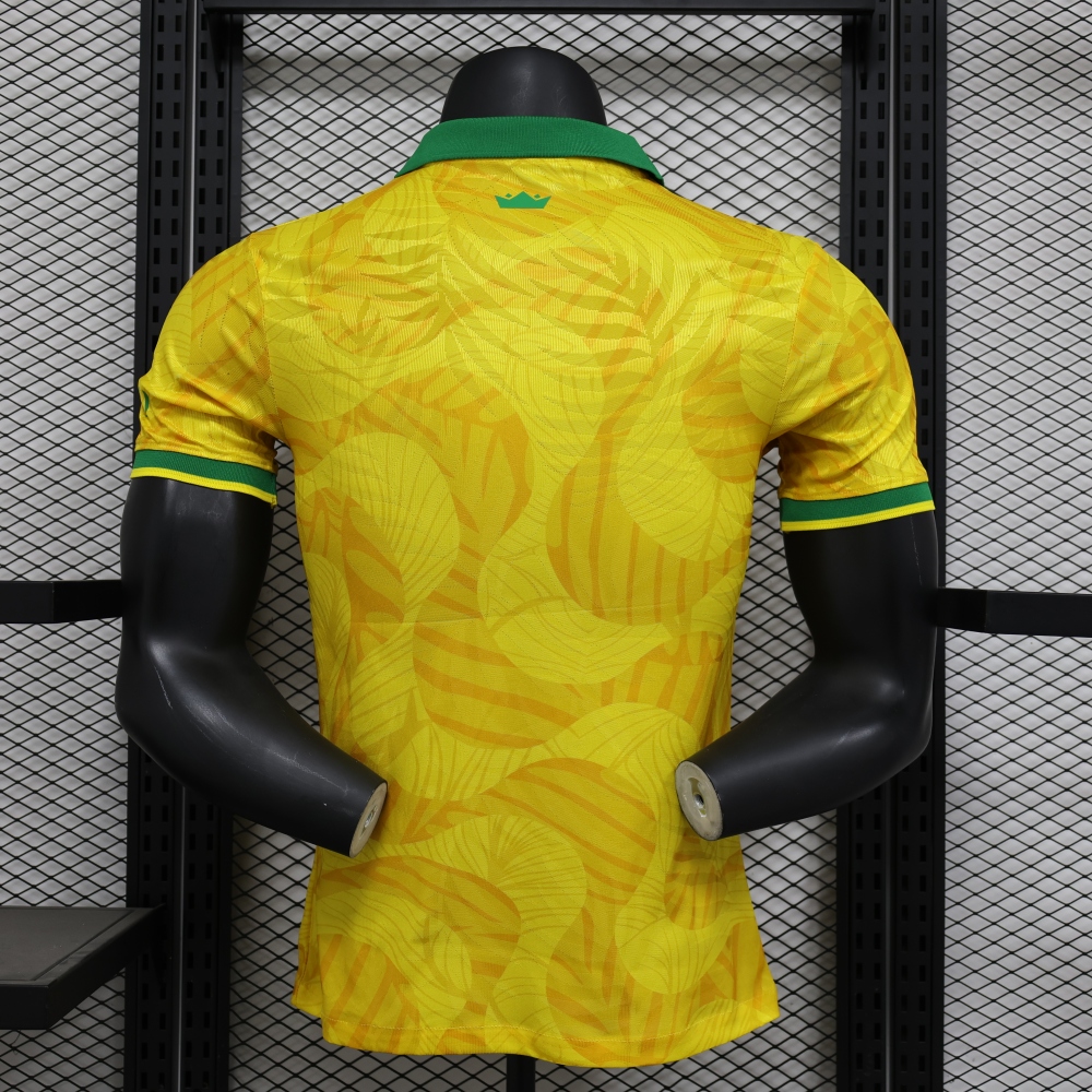 (S-3XL) 1:1 Copy Top Quality 2025/2026 Player: Brazil Special Edition
