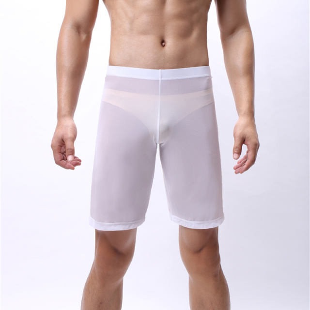 Men Fetish Knee Length Pants Sexy Mesh Summer Lingerie PQA4-54A
