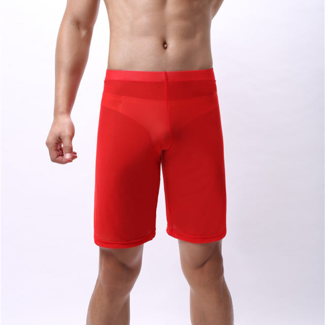 Men Fetish Knee Length Pants Sexy Mesh Summer Lingerie PQA4-54A