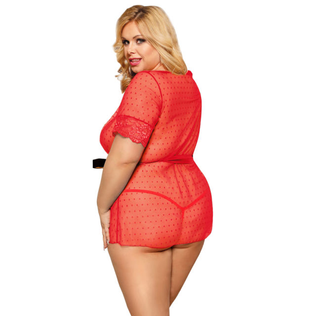 Blue Plus Size Mesh Sheer Lace Robe Sexy Nasty Lingerie For Women PQ80777B