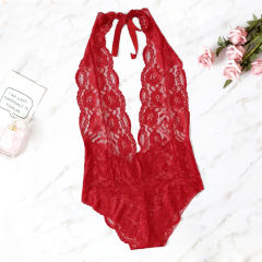 Rose Sheer Lace Teddies Lingerie for Women Sexy Bodysuit PQBS004E