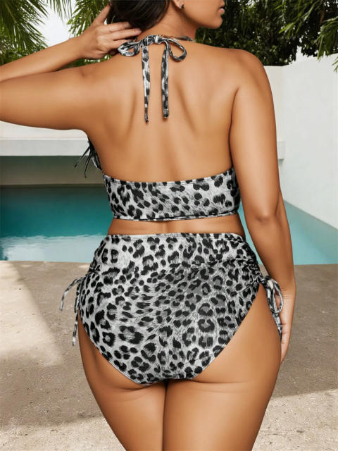 Leopard Print Two-Piece Swimsuit, Plus Size Cheetah Swimwear PQ5036