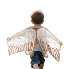 Halloween Eagle Wings Children's Carnival Cloak Performance Costume PQ-SP43
