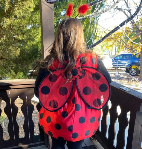 Halloween Ladybug Fancy Dress Sexy Ladybird Costume Carnival Cosplay Outfit PQ88B