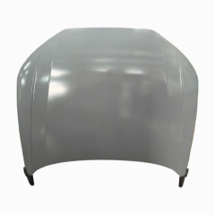Volkswagen B9 hood