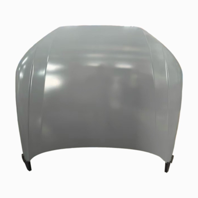 Volkswagen B9 hood