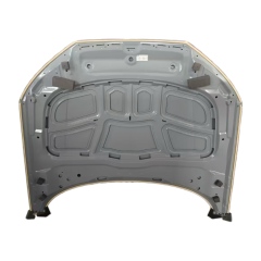 Volkswagen B9 hood