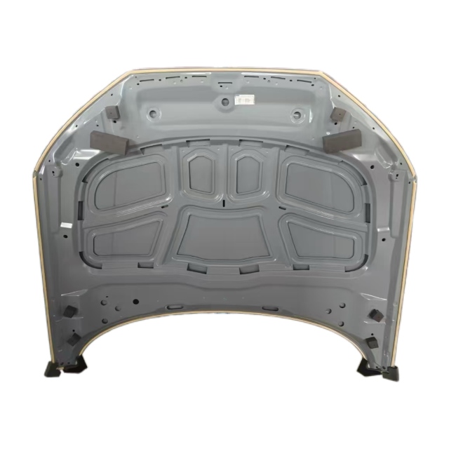 Volkswagen B9 hood