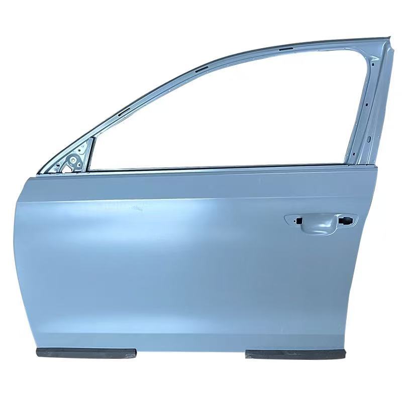 Volkswagen Passat front door