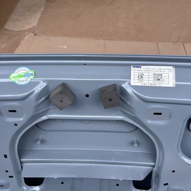Volkswagen Sagitar tail cover