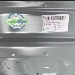 Volkswagen Passat front door