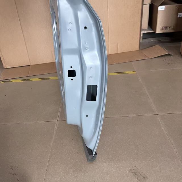 Volkswagen Passat front door