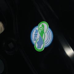 BMW F18 Left Front Door