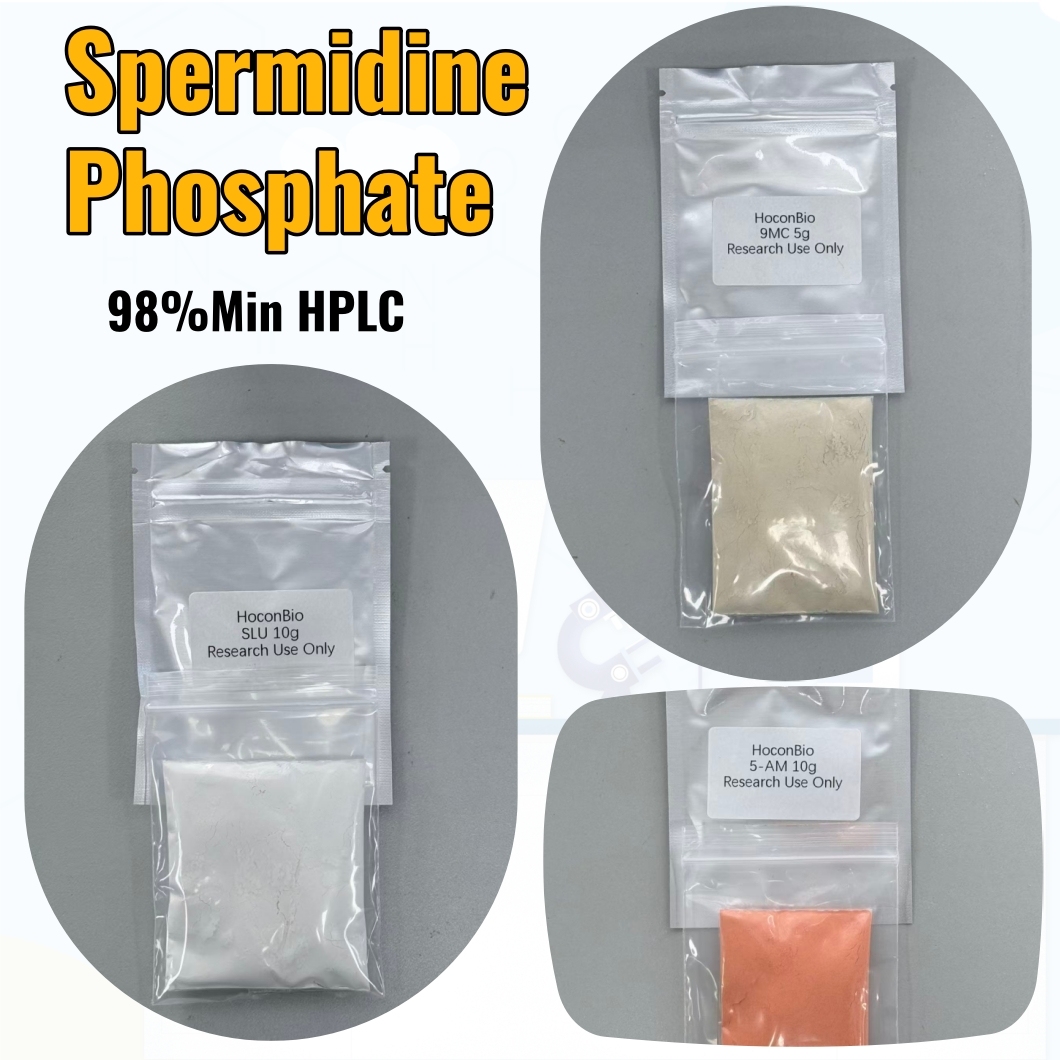 Spermidine Phosphate