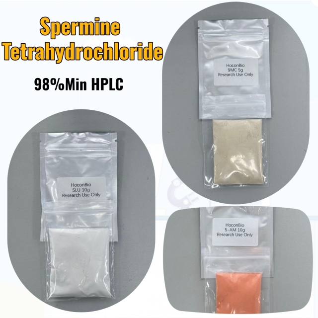 Spermine Tetrahydrochloride