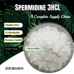 Spermidine 3HCL