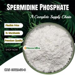 Spermidine Phosphate