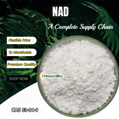 NAD+