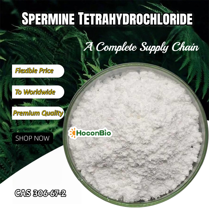 Spermine Tetrahydrochloride