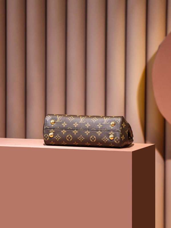 Louis Vuitton Cluny BB Brown For Women 28cm / 11in M46372
