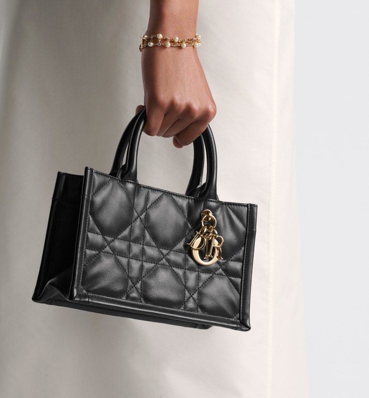 Dior Mini Dior Book Tote Black For Women 8.5 Inches/ 21.5 Cm S5573OWHP_M900