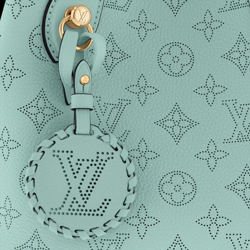 Louis Vuitton Blossom PM Bag For Women 7.8 Inches/ 20 Cm – M24930