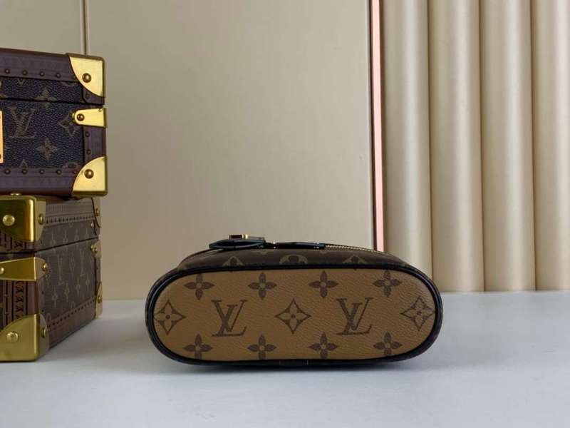 Louis Vuitton Vanity Chain Pouch Brown For Women 19cm / 7.5in M47125