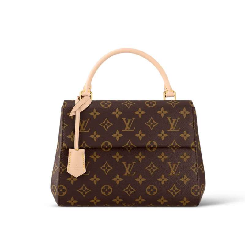 Louis Vuitton Cluny BB Brown For Women 28cm / 11in M46372