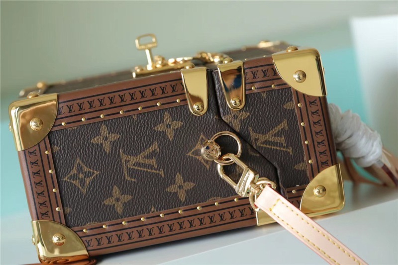 Louis Vuitton Camera Box Monogram Canvas By Nicolas Ghesquiere For Women, Women’s Handbags, Shoulder And Crossbody Bags 21.5cm/8.5in LV