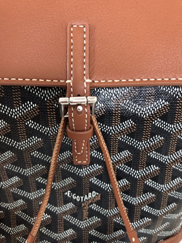 Goyard Alpin Mini Backpack Brown/Pink For Women‎ 9.1in/23cm ALPIN2MINTY33CL33P