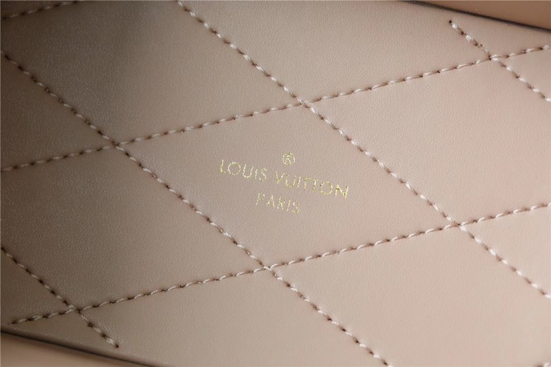 Louis Vuitton Camera Box Monogram Canvas By Nicolas Ghesquiere For Women, Women’s Handbags, Shoulder And Crossbody Bags 21.5cm/8.5in LV