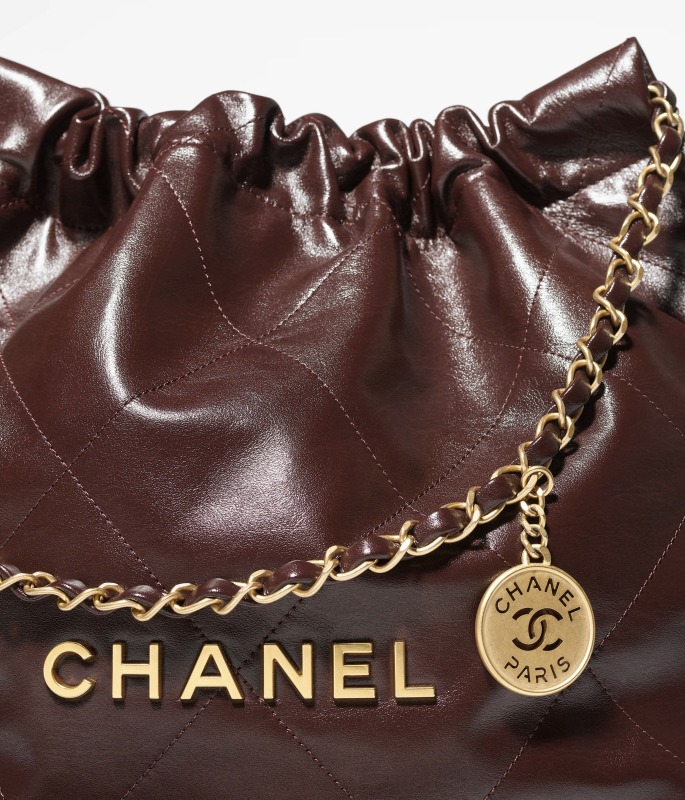 Chanel 2024/25 Métiers d’art CHANEL 22 Handbag