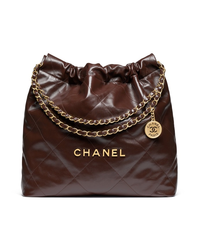 Chanel 2024/25 Métiers d’art CHANEL 22 Handbag