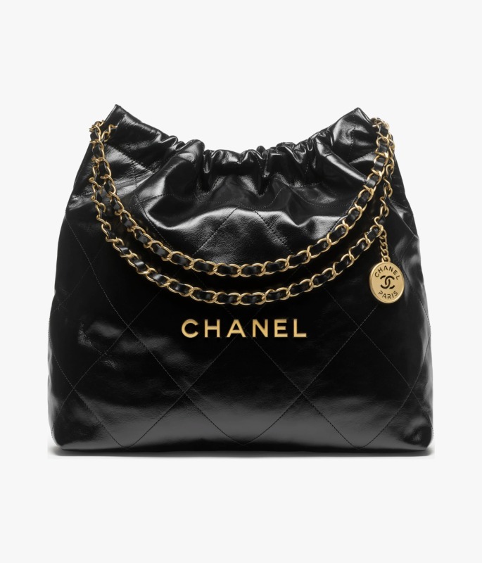 Chanel 2024/25 Métiers d’art CHANEL 22 Handbag