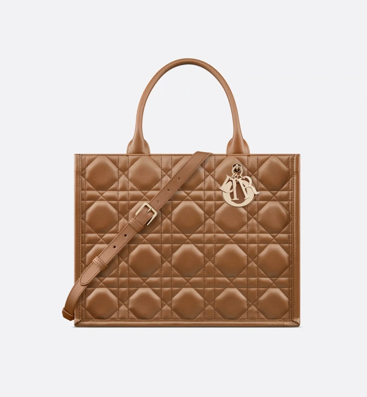 Medium Dior Book Tote