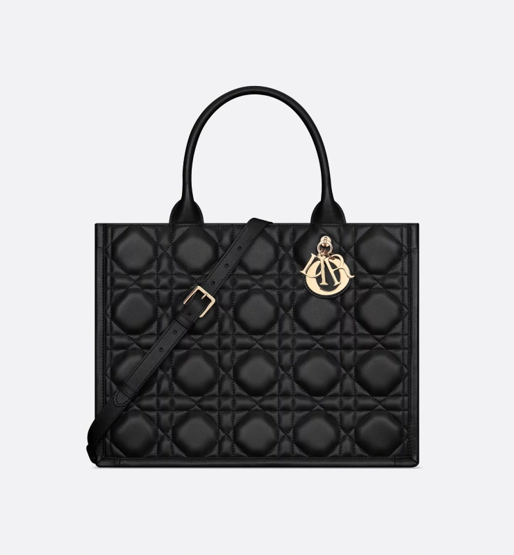 Medium Dior Book Tote