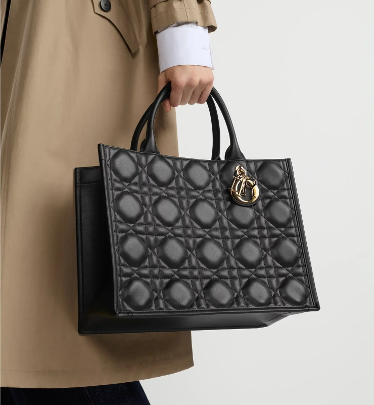 Medium Dior Book Tote