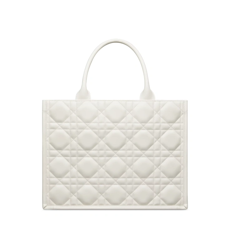 Medium Dior Book Tote