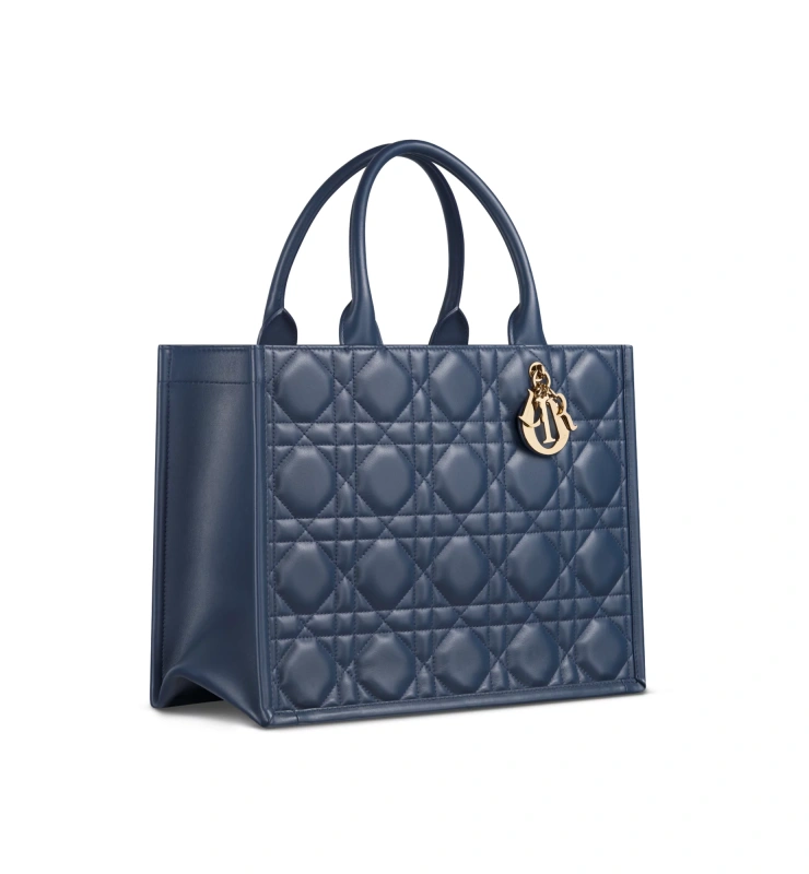 Medium Dior Book Tote