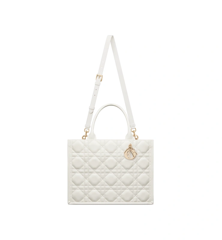 Medium Dior Book Tote