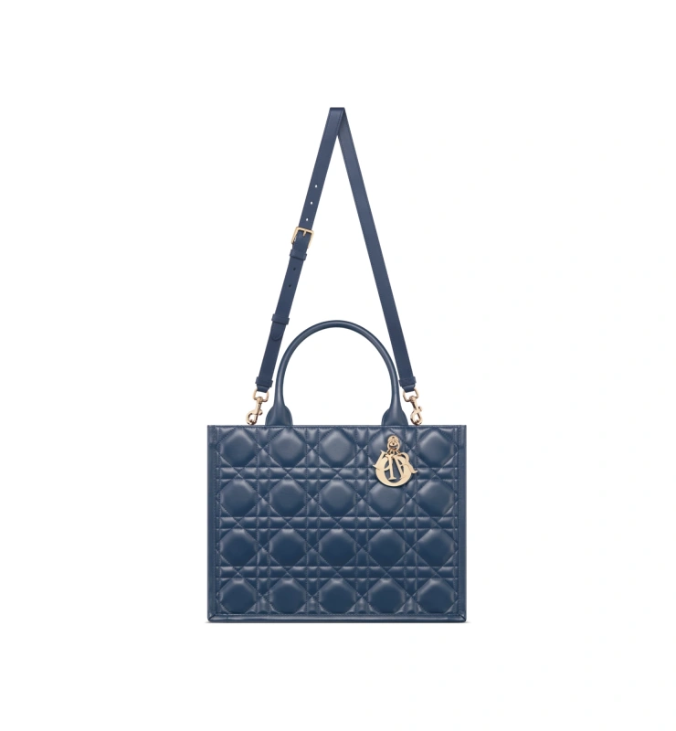 Medium Dior Book Tote