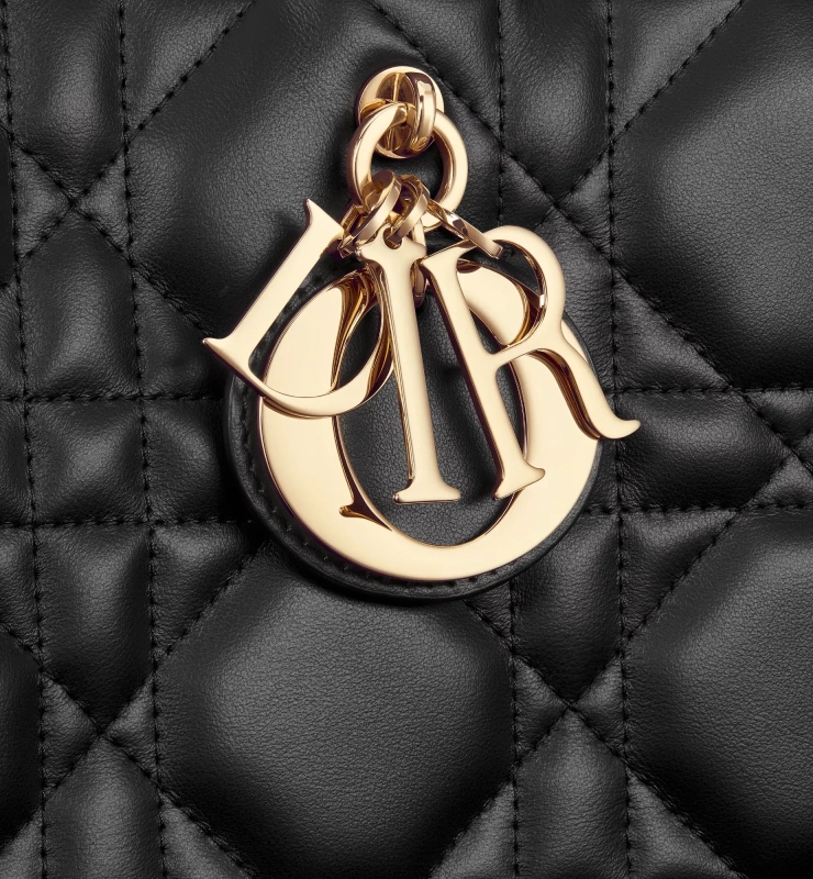 Medium Dior Book Tote