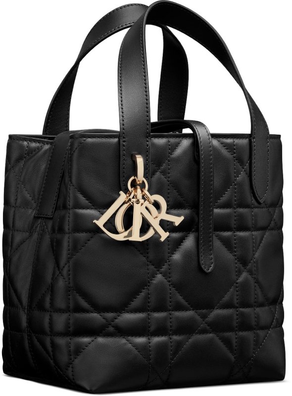 Medium Dior Toujours Vertical Tote Bag