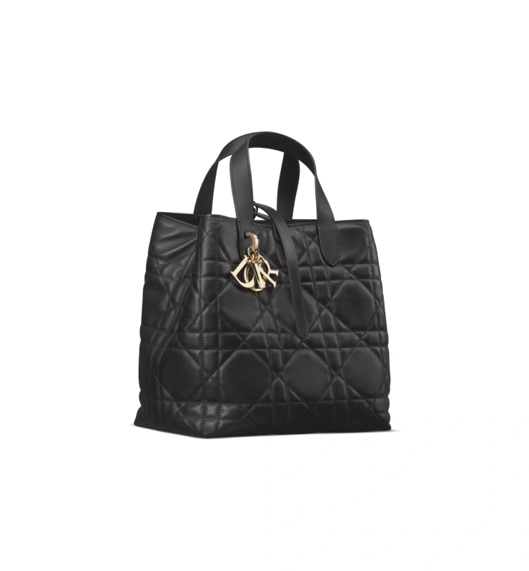 Medium Dior Toujours Vertical Tote Bag