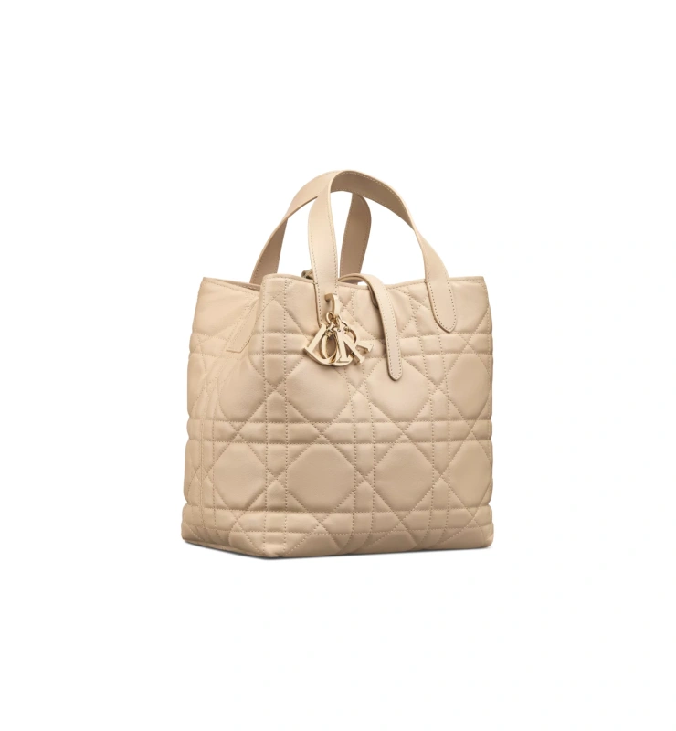 Medium Dior Toujours Vertical Tote Bag
