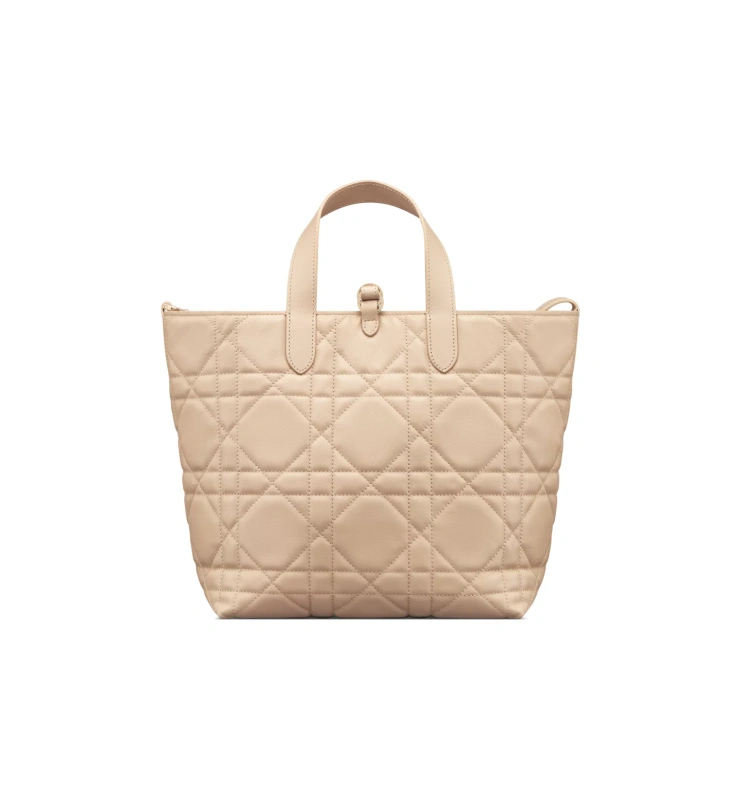 Medium Dior Toujours Vertical Tote Bag