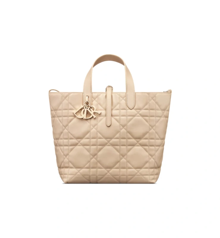 Medium Dior Toujours Vertical Tote Bag
