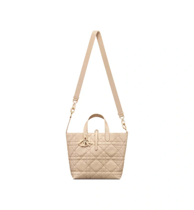 Medium Dior Toujours Vertical Tote Bag